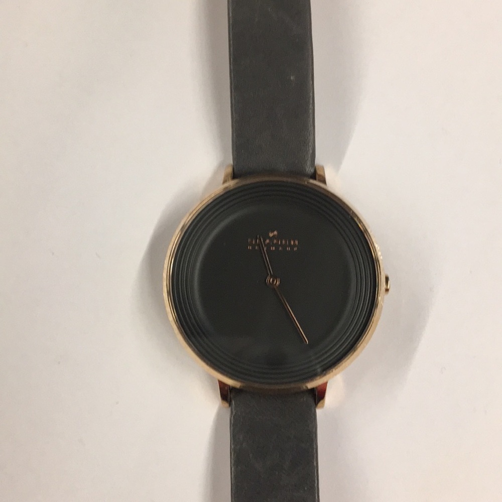 Skagen Watch - Picture 3 of 4